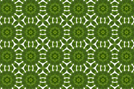 Pattern from leaf.Wallpaper concept