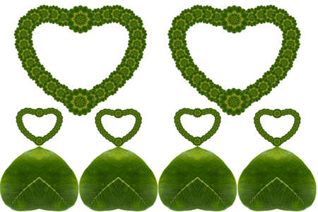 Create heart form levaseの写真素材
