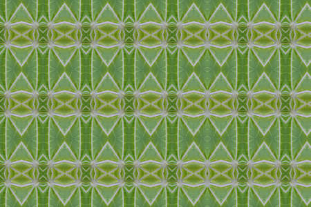 Idea from leafの写真素材