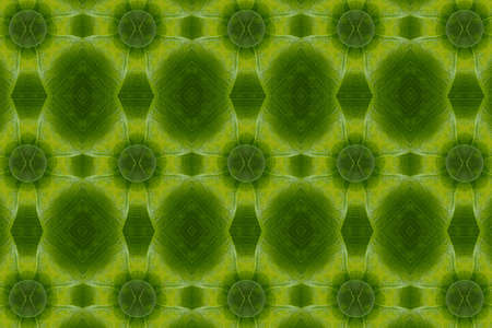 Idea from leafの写真素材