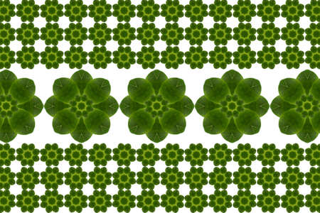 Idea from leafの写真素材