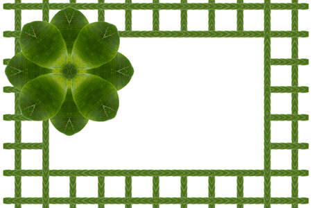 Idea from leafの写真素材