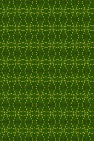 Idea from leafの写真素材