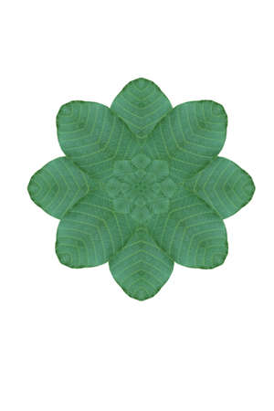 Idea from leafの写真素材