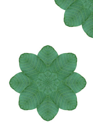 Idea from leafの写真素材