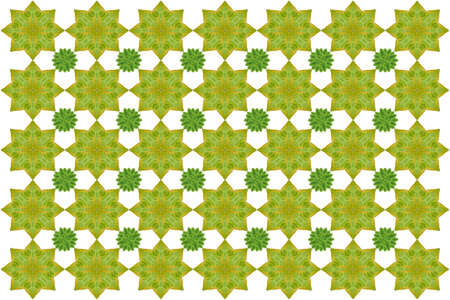 Idea from leafの写真素材