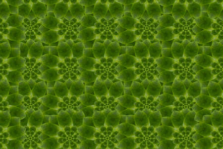 Idea from leafの写真素材