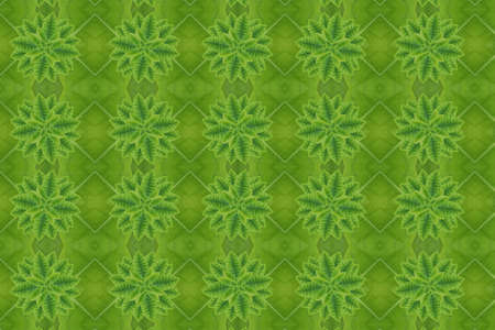 Idea from leafの写真素材
