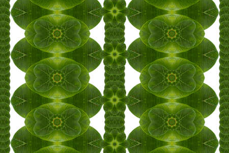 Idea from leafの写真素材