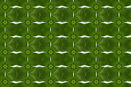 Idea from leafの写真素材