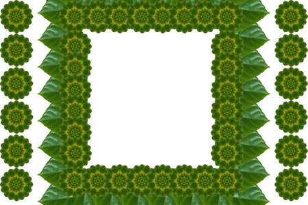 Idea from leafの写真素材
