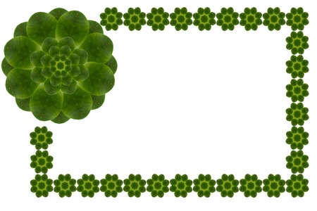 Idea from leafの写真素材