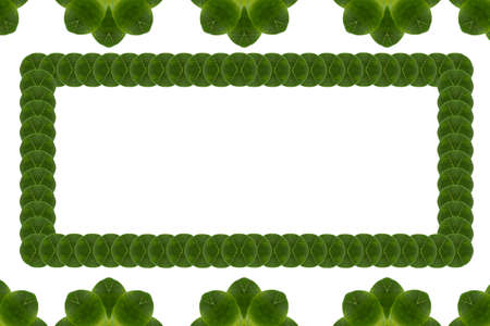 Idea from leafの写真素材