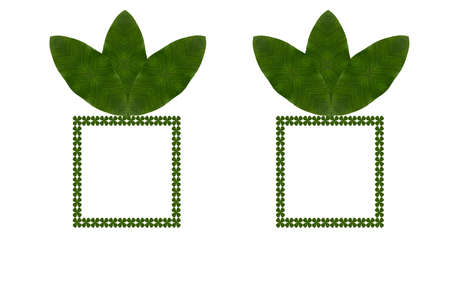 Idea from leafの写真素材
