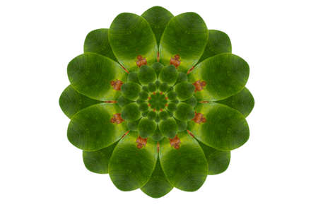 Idea from leafの写真素材