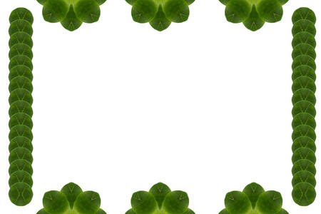 Idea from leafの写真素材
