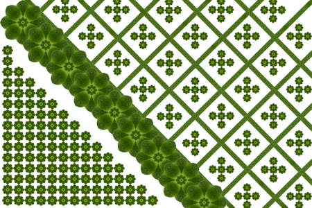 Idea from leafの写真素材