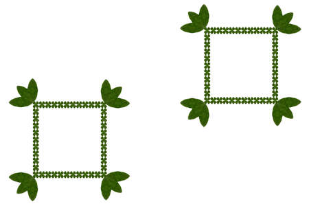 Idea from leafの写真素材