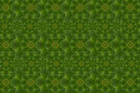 Create a pattern  from leaf