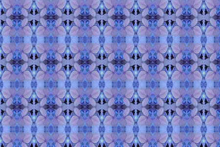 Idea from flowerの写真素材