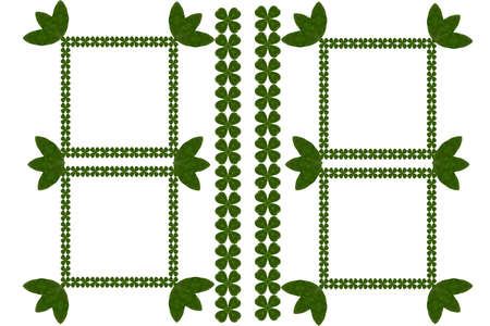 Idea from leafの写真素材