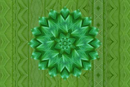 Idea from leafの写真素材