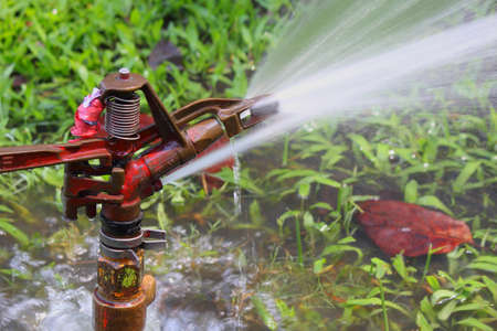Head of water in the gardenの写真素材