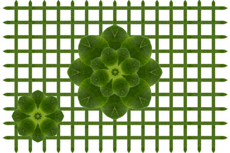 idea from leafの写真素材