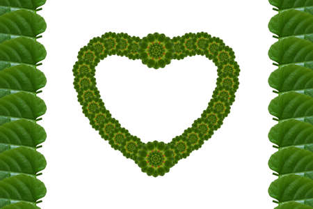 Heart from leafの写真素材