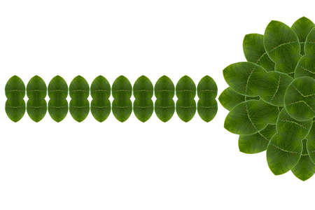 Idea from leaf
