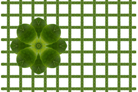 Idea from leafの写真素材