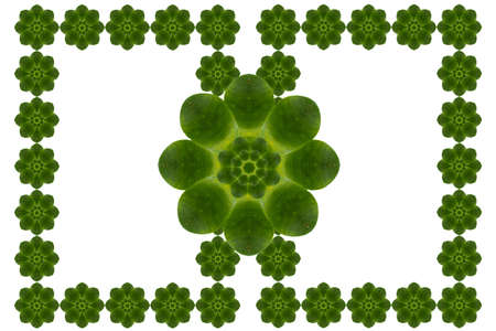 Idea form leaf.