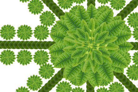 Idea form leaf.