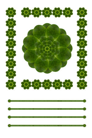 Idea form leaf.の写真素材