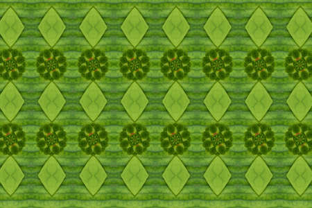 Idea from leaf.