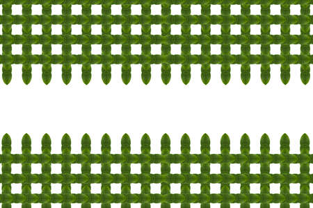 Idea from leaf.の写真素材