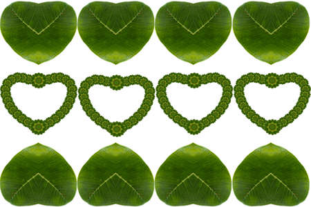 Create heart form levaseの写真素材