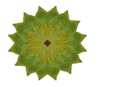 Idea from leafの写真素材