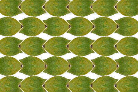Idea from leafの写真素材