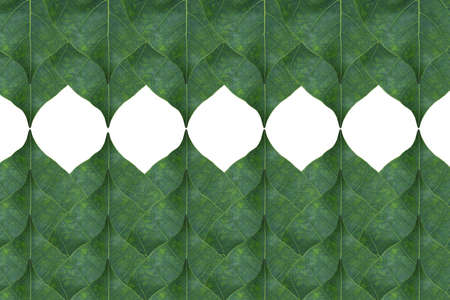 Idea from leaf
