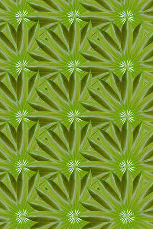 Idea from leafの写真素材