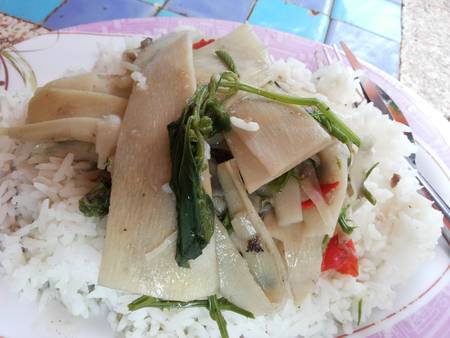 Rice and curry close , bamboo shoots, Thailand.の写真素材