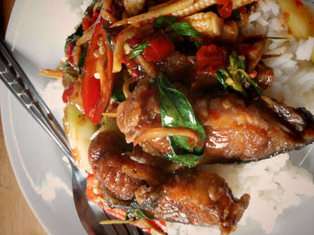 Rice and curryfried fish thailandの写真素材