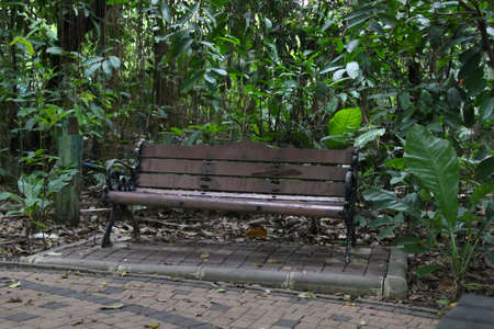 Old bench in an overgrown forest parkの写真素材