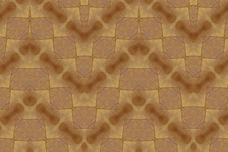 Pattern for dry leaf wallpaper concept.の写真素材