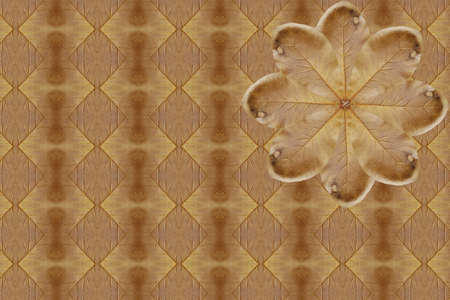 Pattern for dry leaf wallpaper concept.の写真素材