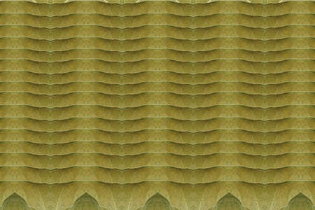 Create a pattern for leafの写真素材