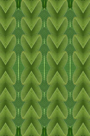 Pattern green leaf wall paper idea.
