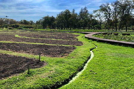 Green grass field in the public park at Chiang Mai, Thailandの写真素材