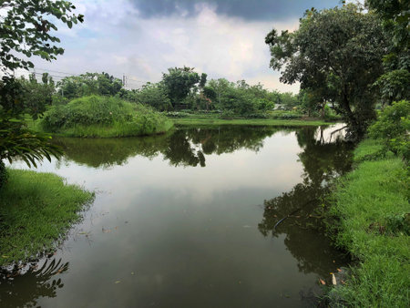 Landscape view of a river in the middle of the forest.の写真素材